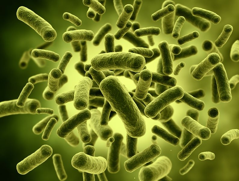 Naturally Occurring Probiotics: A Blessing or a Curse?