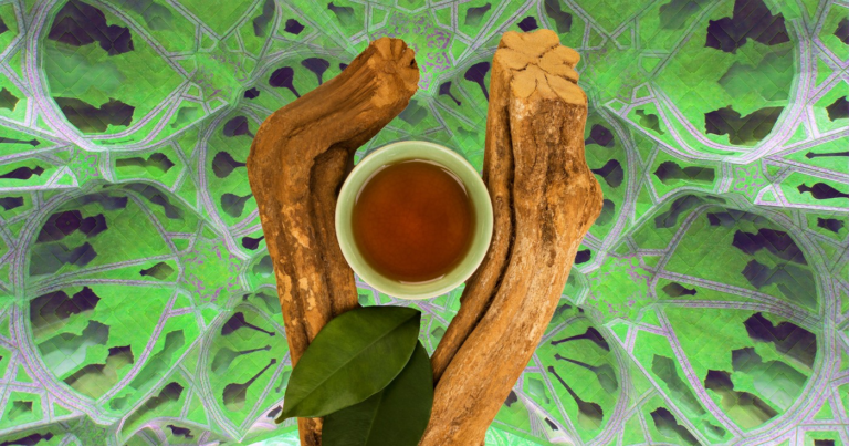Experience The Magical Benefits of Ayahuasca And Ayahuasca Retreat Now